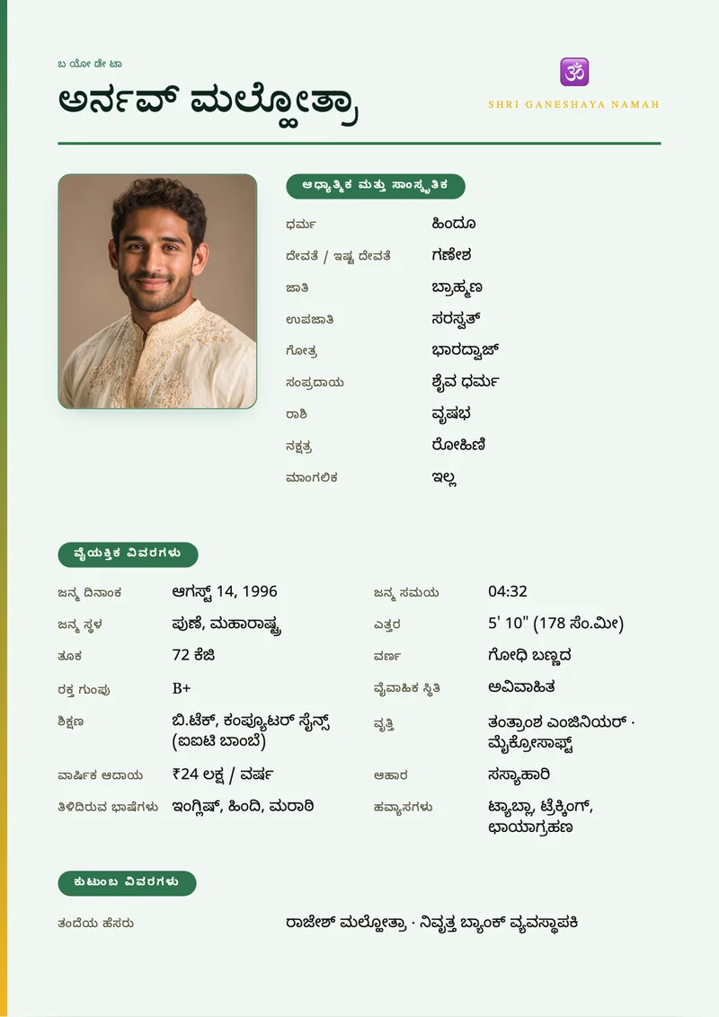Contemporary Grid marriage biodata template