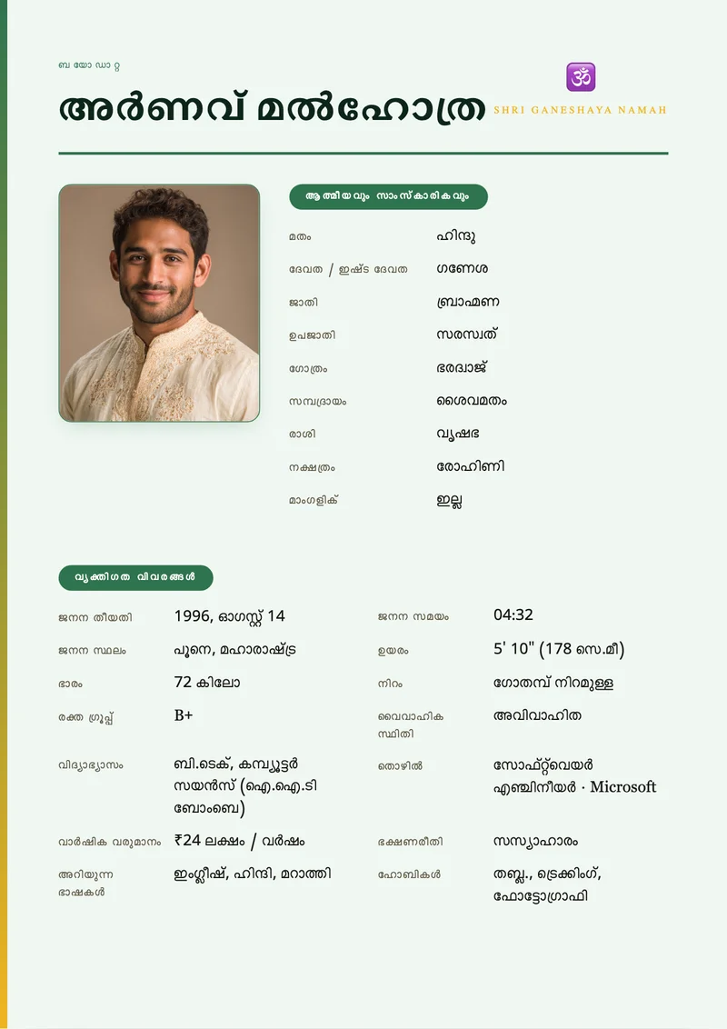 Contemporary Grid marriage biodata template