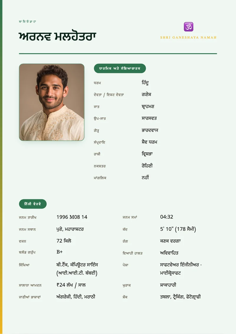 Contemporary Grid marriage biodata template