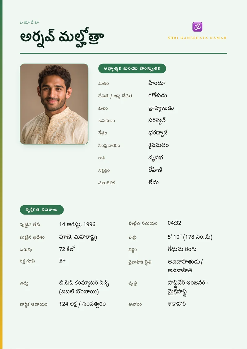 Contemporary Grid marriage biodata template
