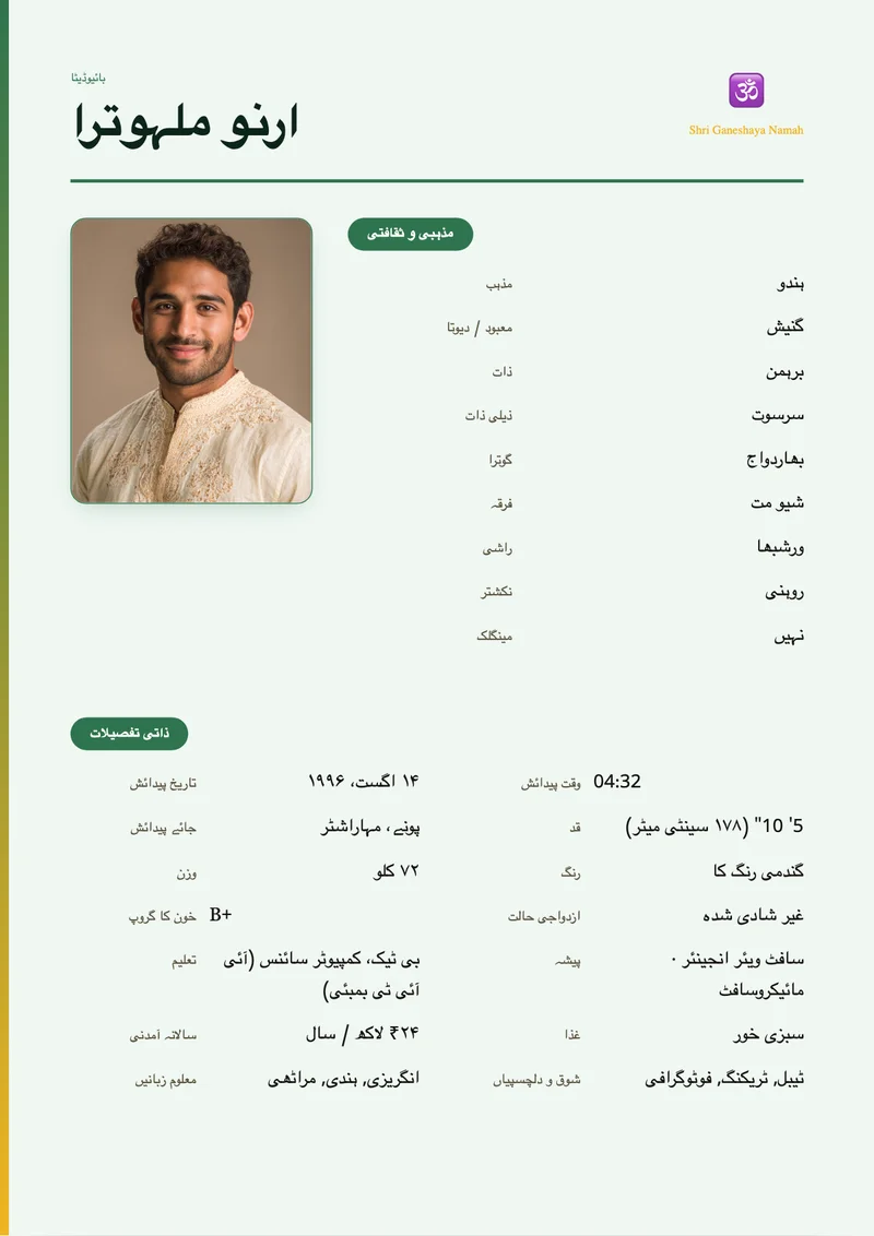 Contemporary Grid marriage biodata template